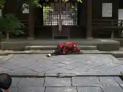 安居神社のお祭り