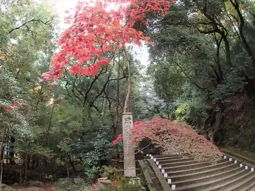 等彌神社の庭園