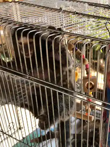 東本願寺本廟 牛久浄苑（牛久大仏）の動物