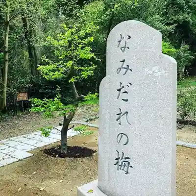 美具久留御魂神社の自然