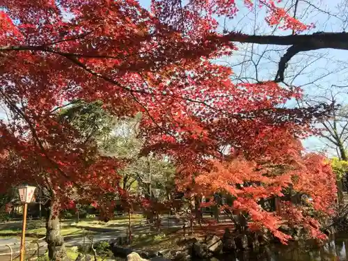 愛知県高浜市春日神社の庭園