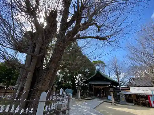 二日市八幡宮の建物その他