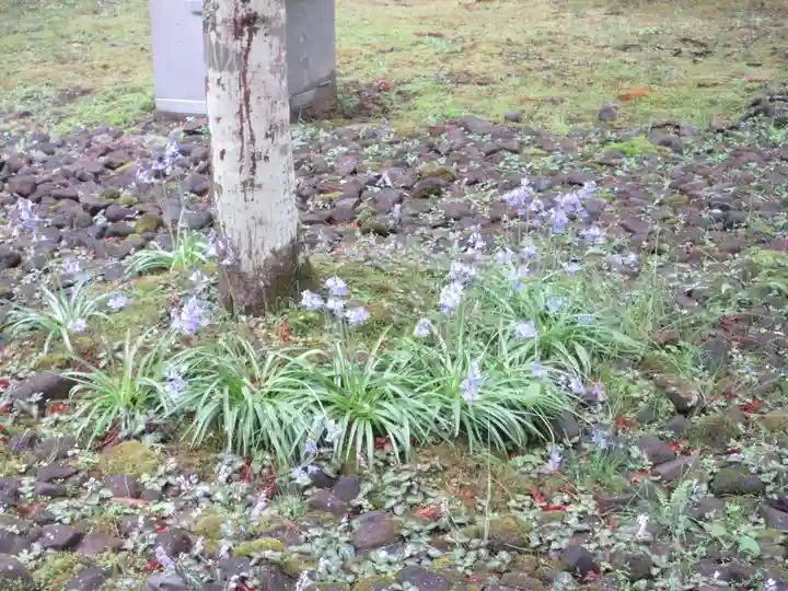 輪王寺(栃木県)