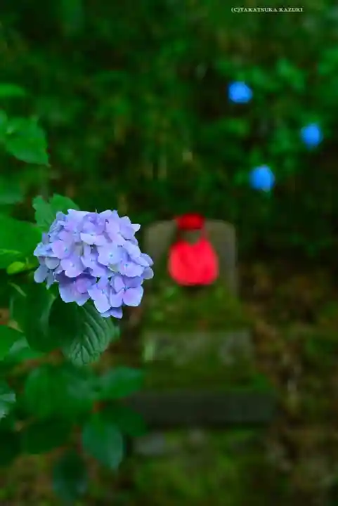 高幡不動尊 金剛寺(東京都)