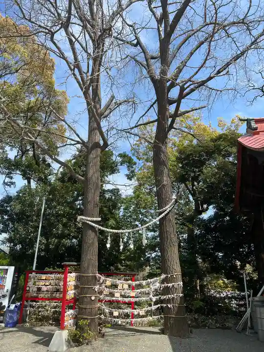 多摩川浅間神社の自然