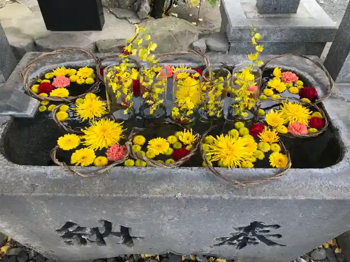 甲宗八幡宮(福岡県)