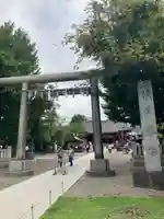 浅草神社の鳥居