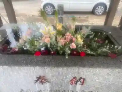 長沼八幡宮(栃木県)