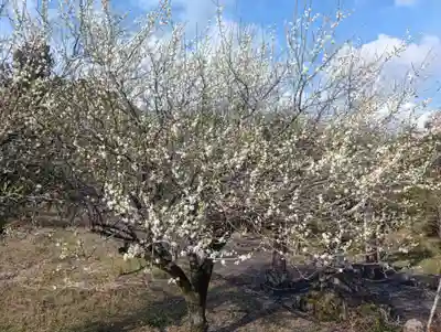 県神社(岐阜県)