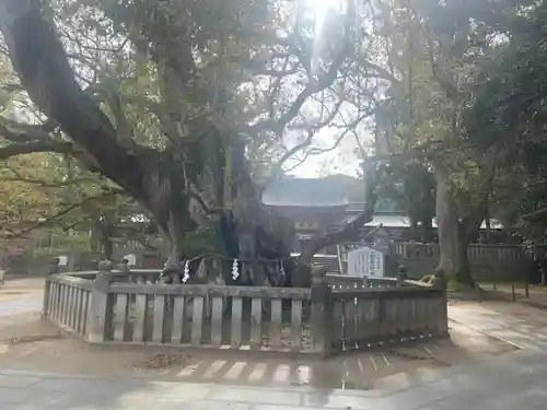 大山祇神社(愛媛県)