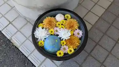 真隆寺の手水舎