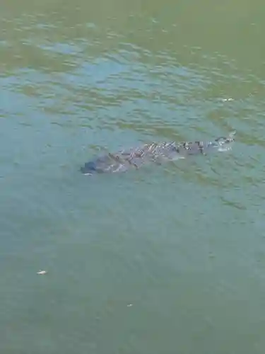 赤城神社(群馬県)