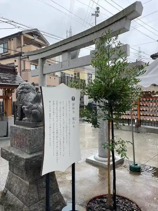 出雲大社埼玉分院(埼玉県)