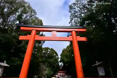 賀茂御祖神社(下鴨神社)の鳥居