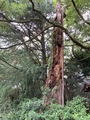 曾屋神社(神奈川県)