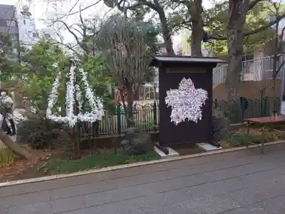 桜神宮のおみくじ