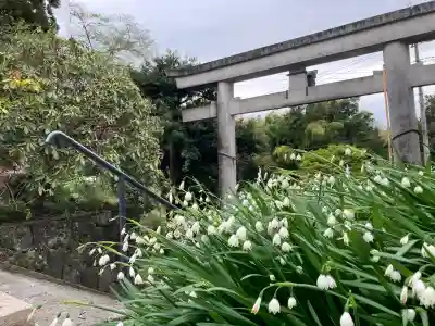 村山浅間神社の{uncategorized: "未分類", other: "その他", undefined: "問題あり", building: "その他建物", grave: "お墓", sacred_gate: "鳥居", guardian: "狛犬", statue: "像", buddha: "仏像", history: "歴史", nature: "自然", garden: "庭園", animal: "動物", pagoda: "塔", temizu: "手水舎", mountain_gate: "山門・神門", sanctuary: "本殿・本堂", subordinate: "末社・摂社", art: "芸術", scenery: "景色", jizo: "地蔵", ema: "絵馬", goshuin: "御朱印", omikuji: "おみくじ", items: "授与品その他", amulet: "お守り", goshuincho: "御朱印帳", eats: "食事", festival: "お祭り", votive_dance: "神楽", shichigosan: "七五三参", wedding: "結婚式", experience: "体験その他", initially: "初詣", around: "周辺", anti_infection: "感染症対策"}