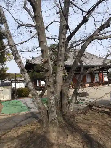 法華寺(奈良県)