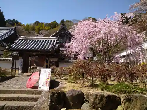 長谷寺の山門・神門