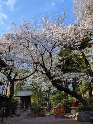 熊野神社(東京都)