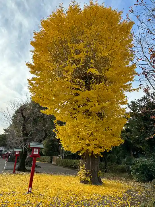 鷲宮神社の景色