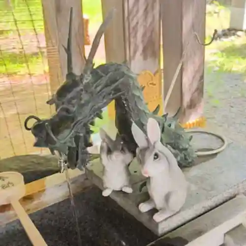 彌彦神社　(伊夜日子神社)の手水舎