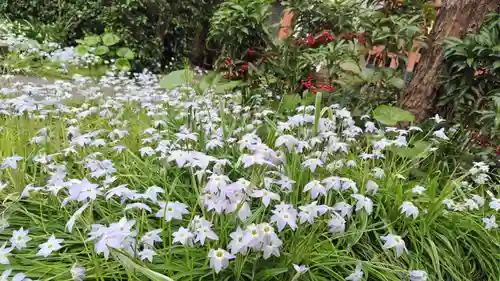 祐正寺(京都府)