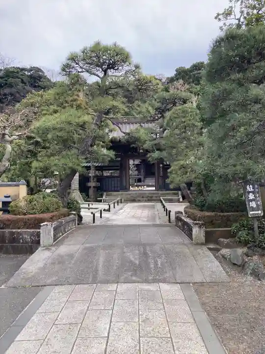 本蓮寺の山門・神門