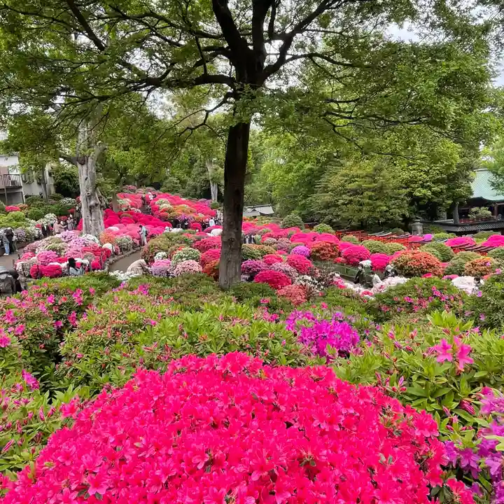 根津神社の自然