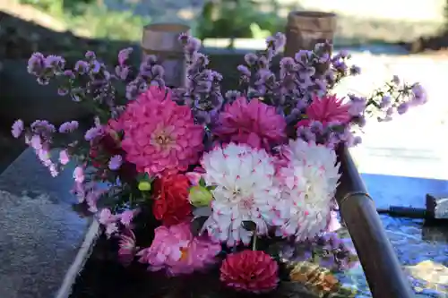 高司神社〜むすびの神の鎮まる社〜の手水舎