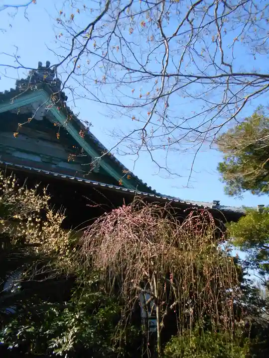 宝戒寺のその他建物