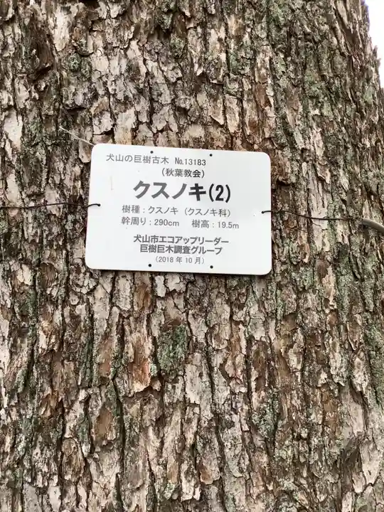 秋葉三尺坊大士 大士堂(秋葉教会)の自然