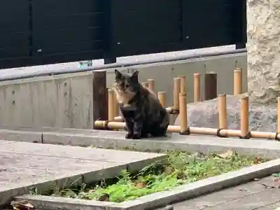 吉祥寺(東京都)