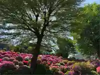 根津神社(東京都)