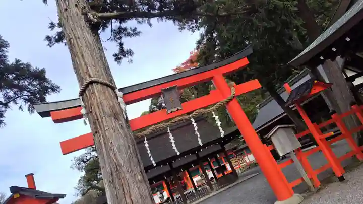 吉田神社(京都府)