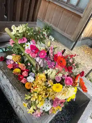 勝林寺(京都府)