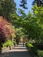 三室戸寺(京都府)