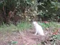 久國神社(東京都)