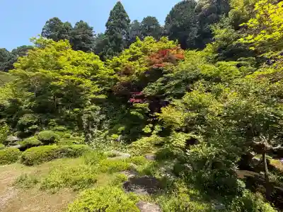 金剛輪寺の{uncategorized: "未分類", other: "その他", undefined: "問題あり", building: "その他建物", grave: "お墓", sacred_gate: "鳥居", guardian: "狛犬", statue: "像", buddha: "仏像", history: "歴史", nature: "自然", garden: "庭園", animal: "動物", pagoda: "塔", temizu: "手水舎", mountain_gate: "山門・神門", sanctuary: "本殿・本堂", subordinate: "末社・摂社", art: "芸術", scenery: "景色", jizo: "地蔵", ema: "絵馬", goshuin: "御朱印", omikuji: "おみくじ", items: "授与品その他", amulet: "お守り", goshuincho: "御朱印帳", eats: "食事", festival: "お祭り", votive_dance: "神楽", shichigosan: "七五三参", wedding: "結婚式", experience: "体験その他", initially: "初詣", around: "周辺", anti_infection: "感染症対策"}