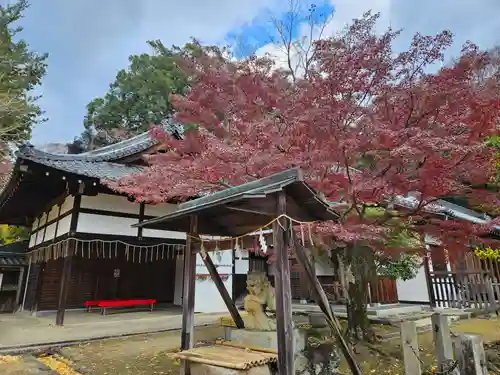手向山八幡宮(奈良県)