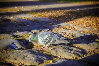 白山神社(宮城県)