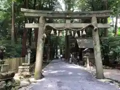 椿大神社の鳥居