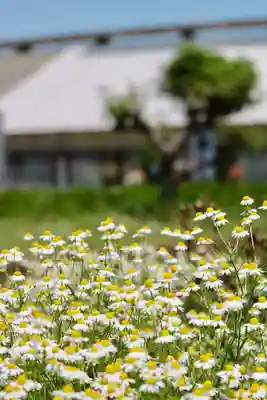 氷川女體神社(埼玉県)