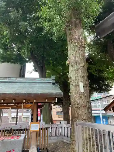 高円寺氷川神社(東京都)