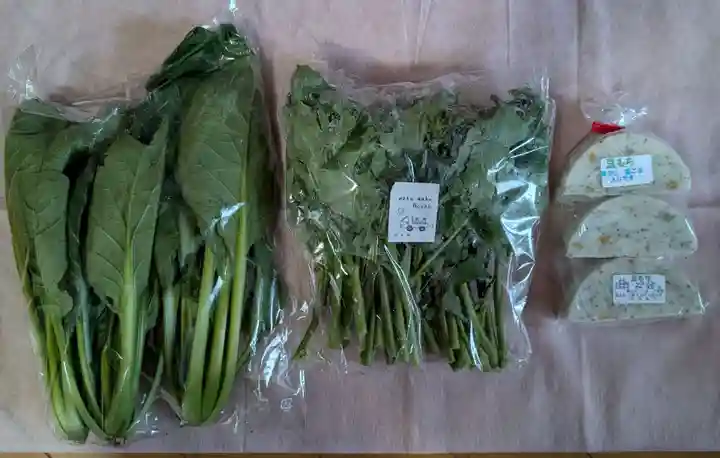 瀧桜神明宮(福島県)