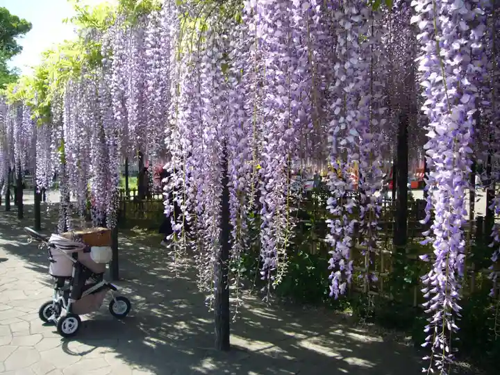 玉敷神社の庭園