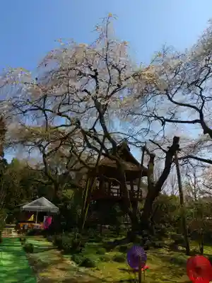 光丸山 法輪寺のその他建物