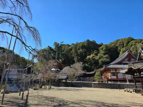 金剛寺(大阪府)