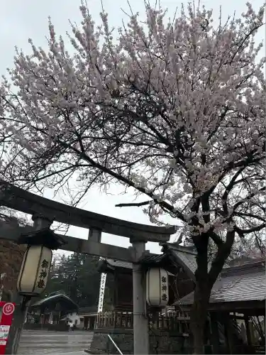 盛岡八幡宮(岩手県)