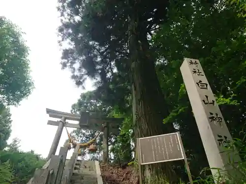 白山神社のその他建物